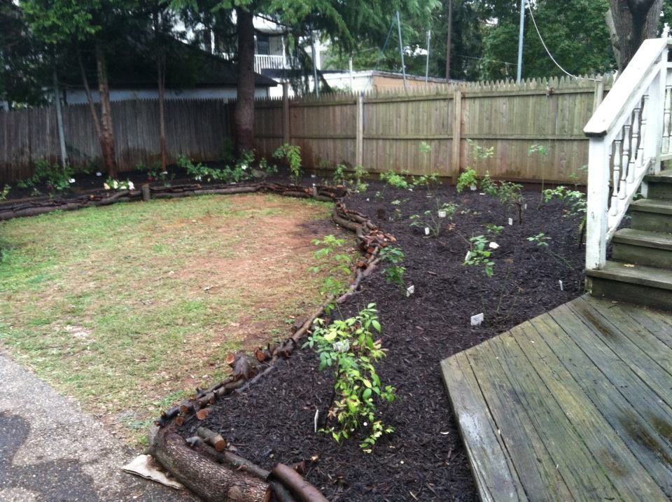 photo 1378455_10151706668737285_878843411_n.jpg